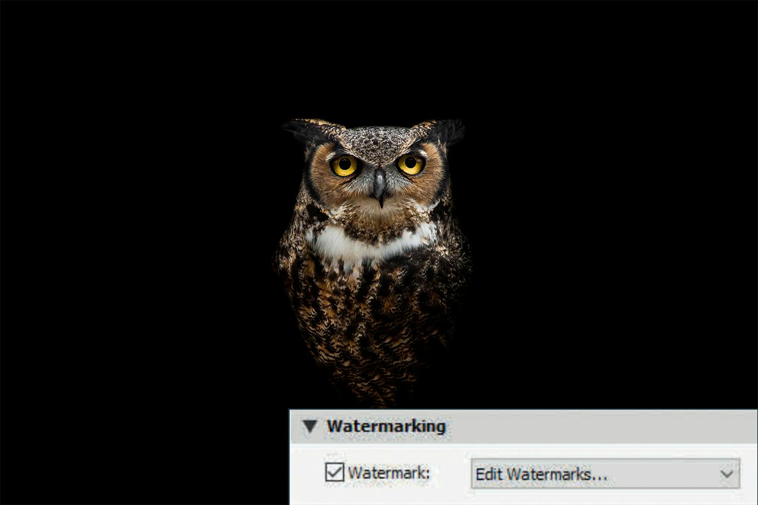 vandmærke redigeres trin 1